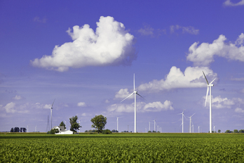 Vista de un parque eólico de Iberdrola en EEUU