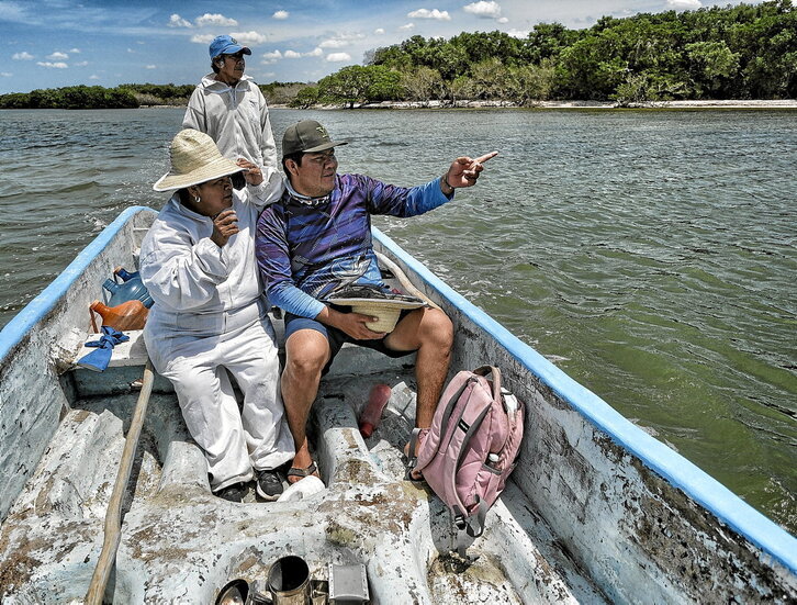 Elma y Humberto supervisan el estado de los manglares mientras Mario los lleva de vuelta a casa en su barca. (Oscar Espinosa)