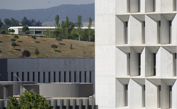 El campus de la Universidad de Navarra cuenta con 173 especies vegetales distintas.