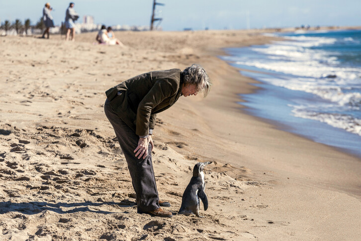 Steve Coogan y el pingüino protagonista.