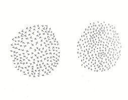 Ilustrazioa: ULA IRURETAGOIENA BUSTURIA