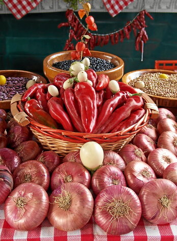 gara-2025-08-29-Noticia