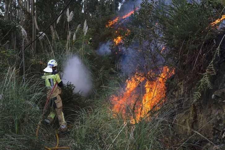 EAEn gertatutako sute suntsitzaileenak 1989. urtean izan ziren.
