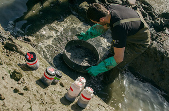 AZTIko kideak laginak hartzen.
