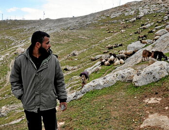 Un beduino camina cerca de la colonia de Ma'ale Adumim.