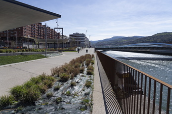 La presunta agresión sexual tuvo lugar en el barrio de Zorrozaurre.