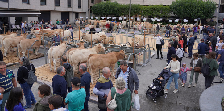 Ganadu erakusketa, Ordiziako azoka bereziaren baitan.