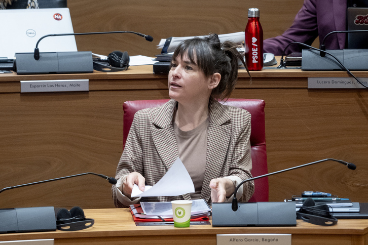 La consejera de Políticas Migratorias, Begoña Alfaro, ha sido la encargada de anunciar la decisión del Ejecutivo foral.