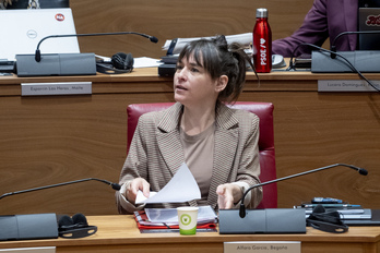 La consejera de Políticas Migratorias, Begoña Alfaro, ha sido la encargada de anunciar la decisión del Ejecutivo foral.