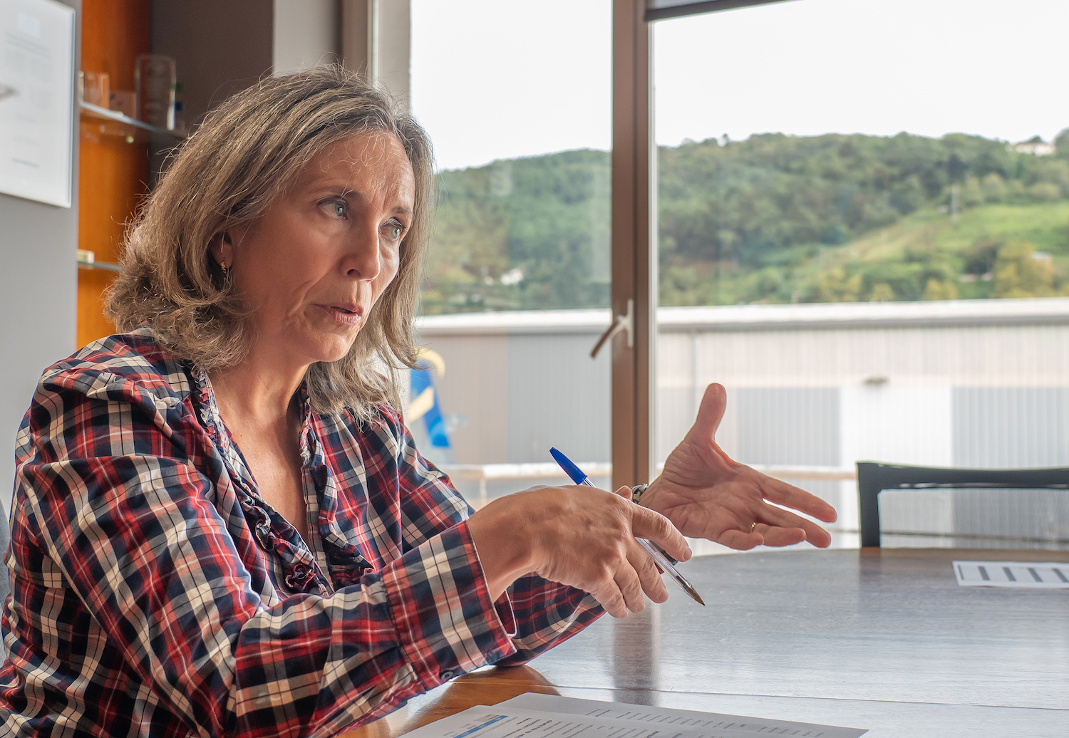 Andoni CANELLADA | FOKU