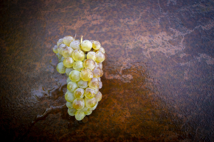 La uva es uno de los productos que puede transformarse en piensos sostenibles.