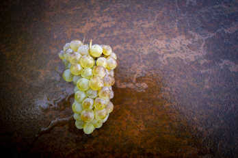 La uva es uno de los productos que puede transformarse en piensos sostenibles.