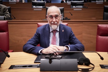 El consejero de Salud, Fernando Domínguez, en el Parlamento.