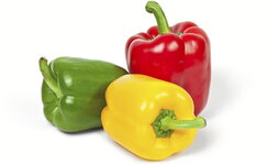 gara-2025-09-12-Noticia