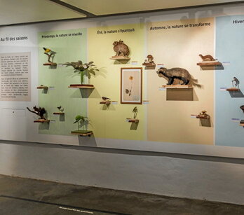 “L’Atlas de la biodiversité” est visible à la Plaine d’Ansot.