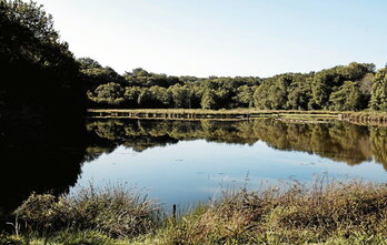 Pour comprendre les enjeux des Réserves naturelles régionales, Errota Handia et Chourroumillas seront ouvertes, sur réservation, le samedi 28 septembre prochain. © Guillaume FAUVEAU