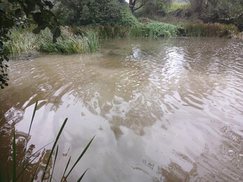 La bétonite donne une couleur grises aux cours d’eau.