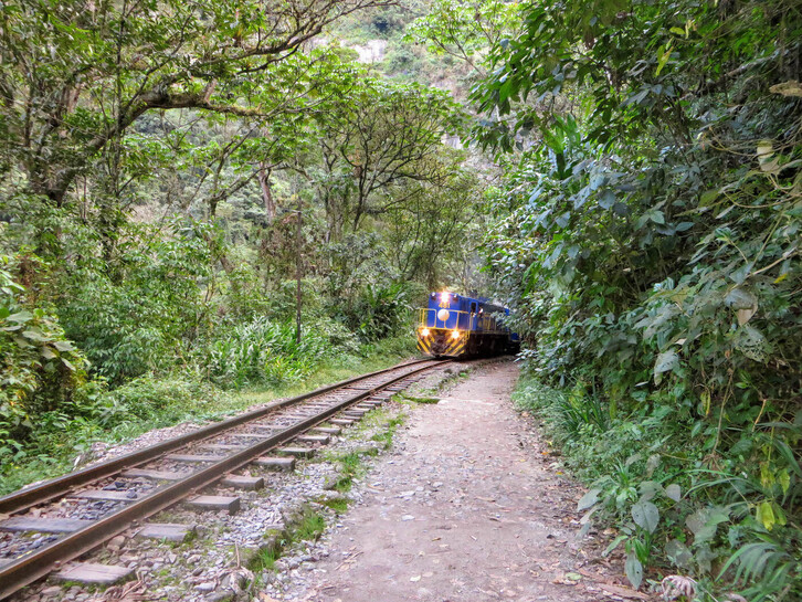 Trena, Machu Picchu gotorlekurako bidean.