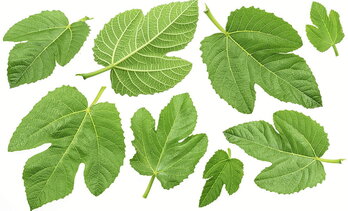 gara-2025-09-19-Noticia