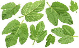 gara-2025-09-19-Noticia