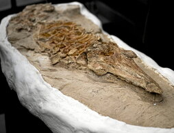 gara-2025-09-22-Noticia