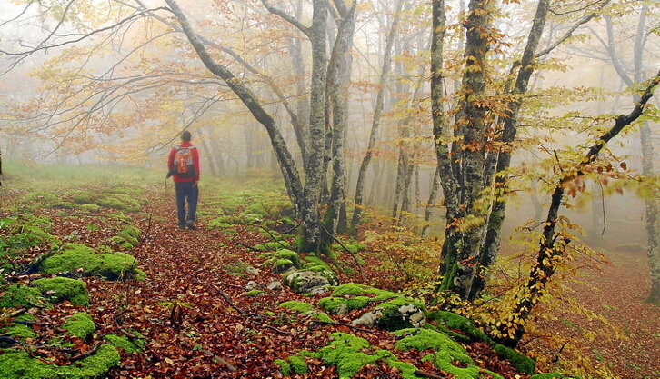 Mendizale bat Valderejoko pagadi batean. (Jon BENITO)