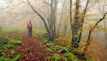 gara-2025-09-23-Reportaje
