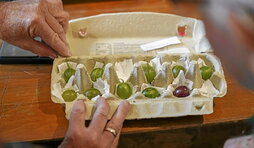 gara-2025-09-23-Noticia