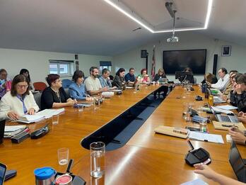 Mahai sektoriala egin dute.