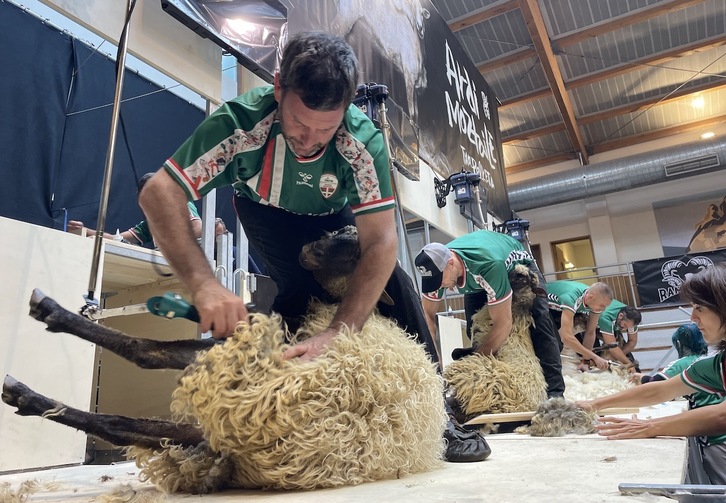 Euskal Herriko ardi moztaile batzuk.