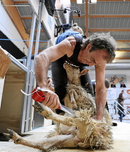 gara-2025-09-27-Noticia