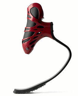 gara-2025-09-29-Noticia