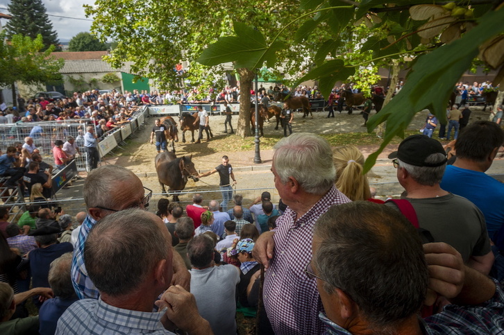 Aguraingo ganadu azokak 630 urte beteko ditu aurten.