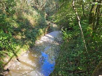 Atxuri errekan isuritako bentonita aztarnak.