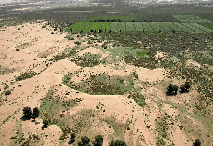 Contraste entre la vegetación verde y las dunas desérticas.