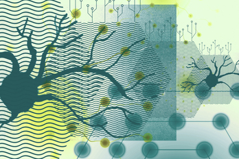 La neurotecnología es un sector es constante crecimiento, en el que se están alcanzando estadios impensables.