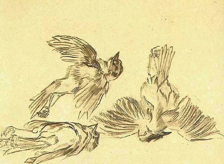 «Hildako kurloia», Vincent van Gogh (Nuenen, 1885).