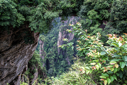 Greenpeacek eskatu dio tokiko gobernuari berehala larrialdi-protokoloak har ditzala eremua babesteko.