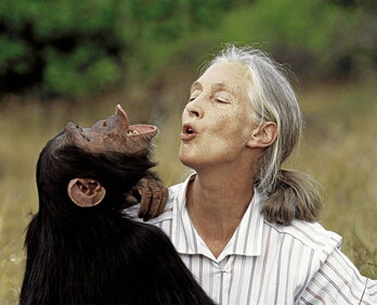 Jane Goodall ohartu zen txinpantze bakoitzak bere izaera zuela; pertsonalitatea.