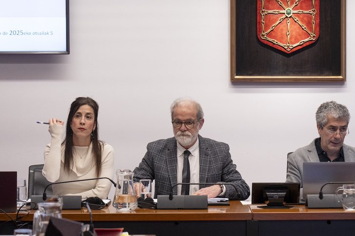 El presidente de la Cámara de Comptos, Ignacio Cabeza del Salvador, en el centro, en una comparecencia en el Parlamento navarro.