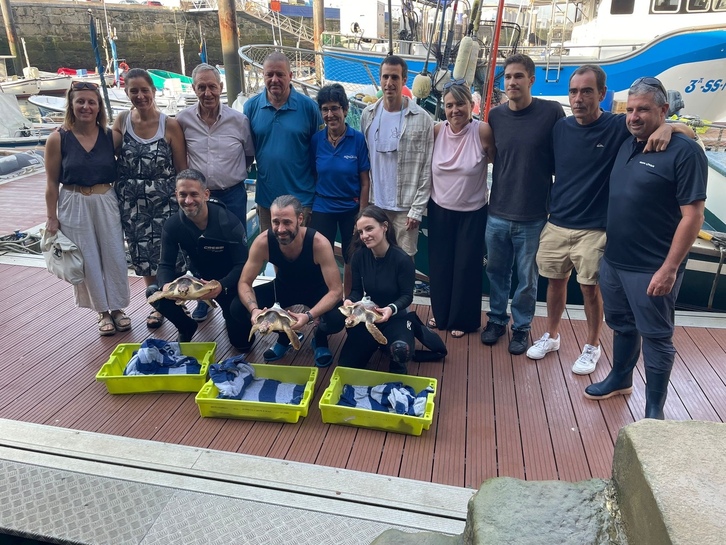 Donostiako Aquariumeko langileak itsas dortokak askatzeko prestatzen.