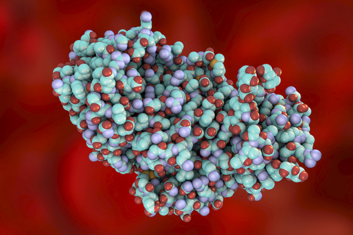 Modelo informático de una molécula de la proteína tóxica ricina