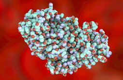 Modelo informático de una molécula de la proteína tóxica ricina, la segunda sustancia más venenosa producida naturalmente por un ser vivo, tras la toxina botulínica. Una dosis mínima puede ser letal.