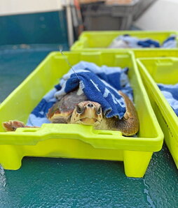 gara-2025-10-11-Noticia