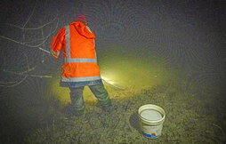 Angula arrantzaleak, Oria ibaian arrantzan.