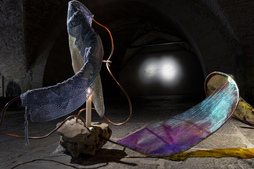 Imagen de la muestra.