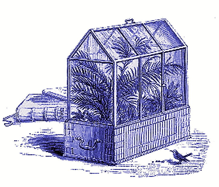 Warden kaxa, itsas bidaia luzeetan landareen garraioa ahalbidetu zuena.