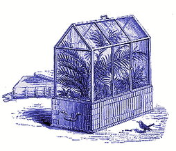 Warden kaxa, itsas bidaia luzeetan landareen garraioa ahalbidetu zuena.