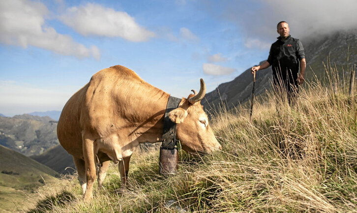 Abeltzainek behi-taldeak menditik jaisteko urriaren lehenean egin zuten hitzordua, Eiheralarreko pilotalekuan.