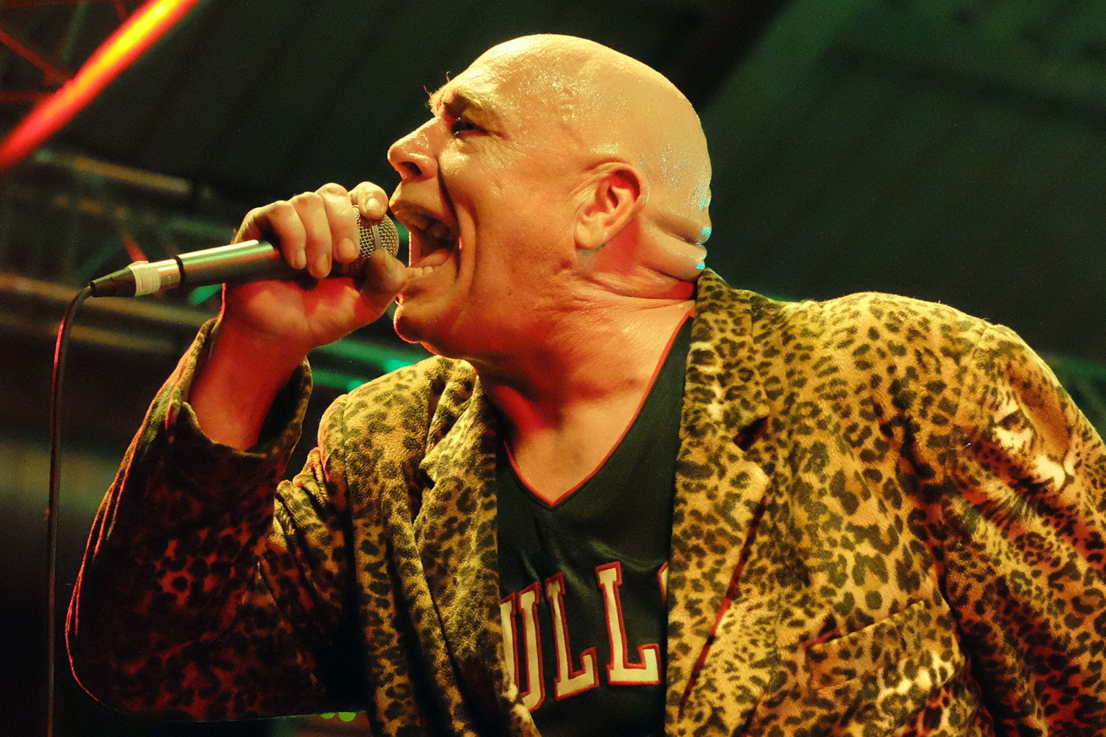 Douglas Trendle abeslariak gidatzen du  Bad Manners banda.